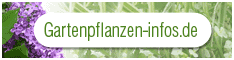gartenpflanzen-infos.de